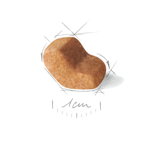 Royal Canin Shih Tzu Adult – Hrană Uscată pentru Câini Adulți din Rasa Shih Tzu – 1,5 kg